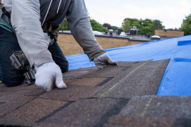 Best Roof Restoration Services  in Wentzville, MO